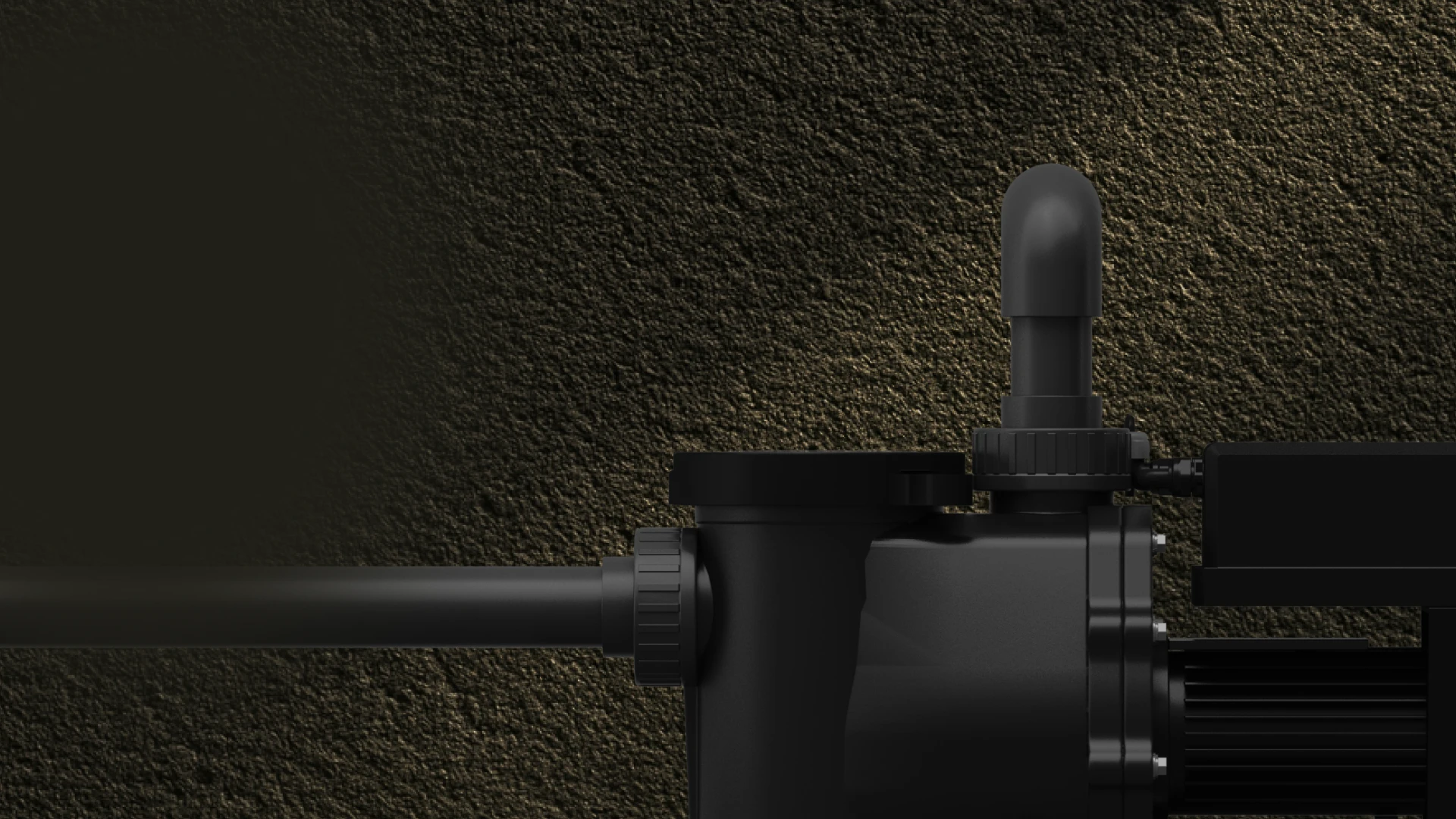 Water Circulation and Filtration